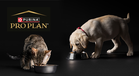 purina-pro-plan cat and dog