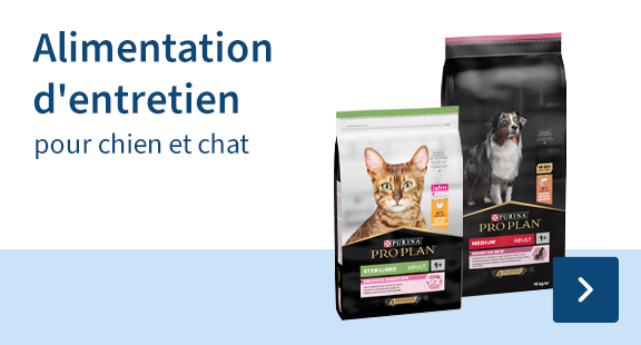 aliments pour animaux