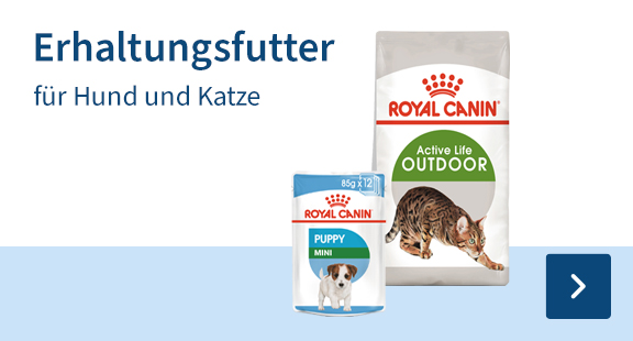 erhaltungsfutter-hund-katze