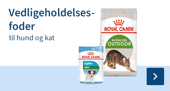 vedligeholdelses-foder-hund-kat