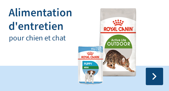 alimentation-entretien-chien-chat