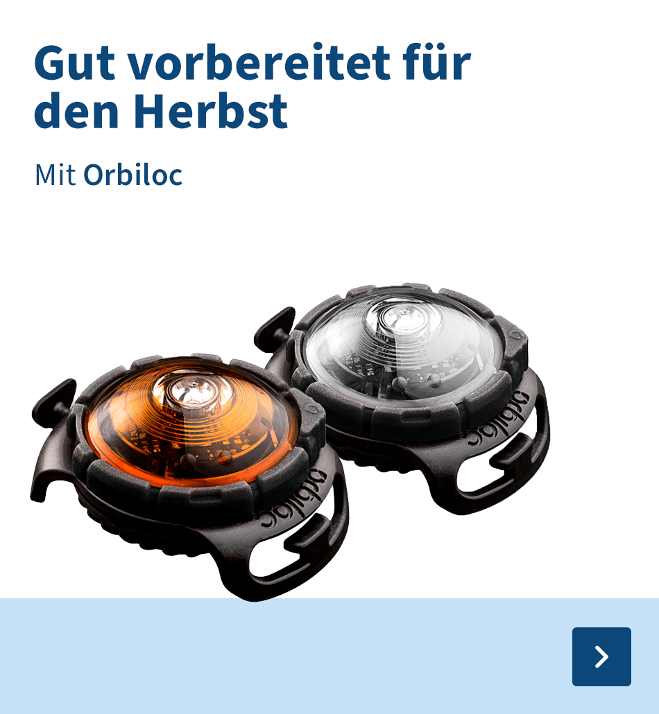 Gut vorbereitet für den Herbst Mit Orbiloc