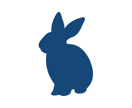 lapin