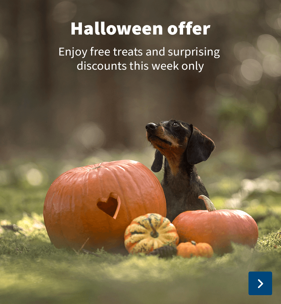 https://www.vetsend.co.uk/halloween