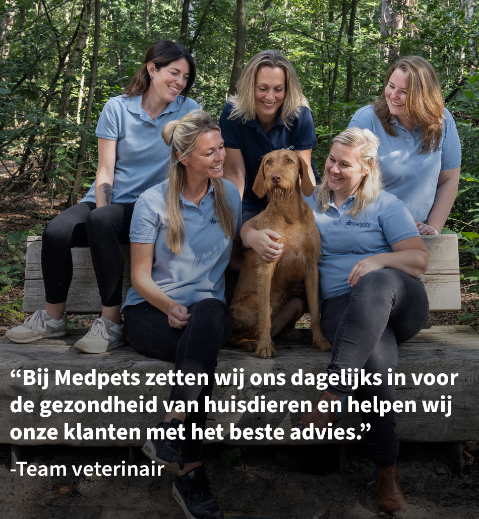 veterinair team