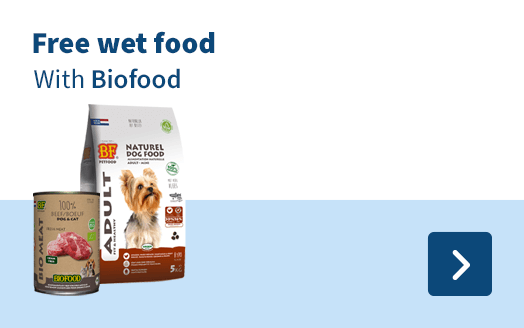 Free wet food with Biofood