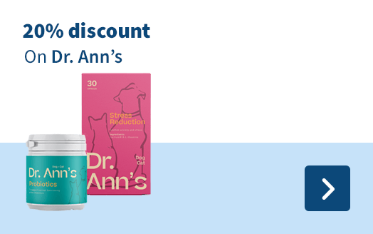 20% discount on Dr. Ann's