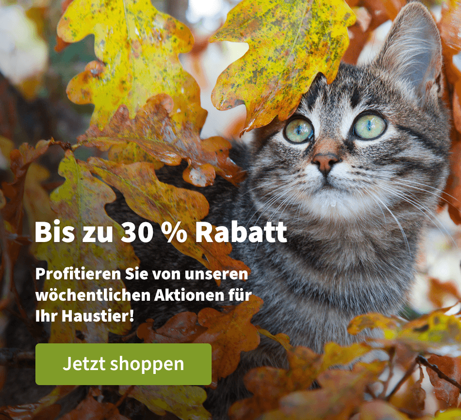 Bis zu 30 % Rabatt. Profitieren Sie von unseren wöchentlichen Aktionen für Ihr Haustier!