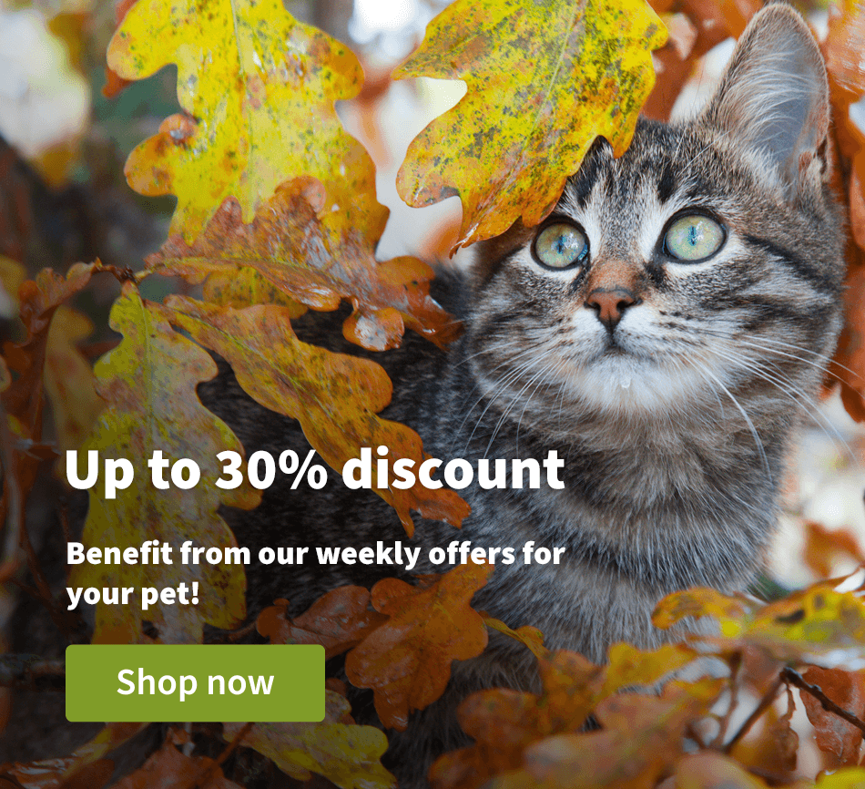 Up to 30% discount. Discover the best deals for your pet!