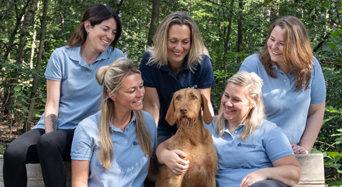 veterinair team