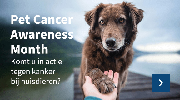 https://www.medpets.be/pet-cancer-awareness-month