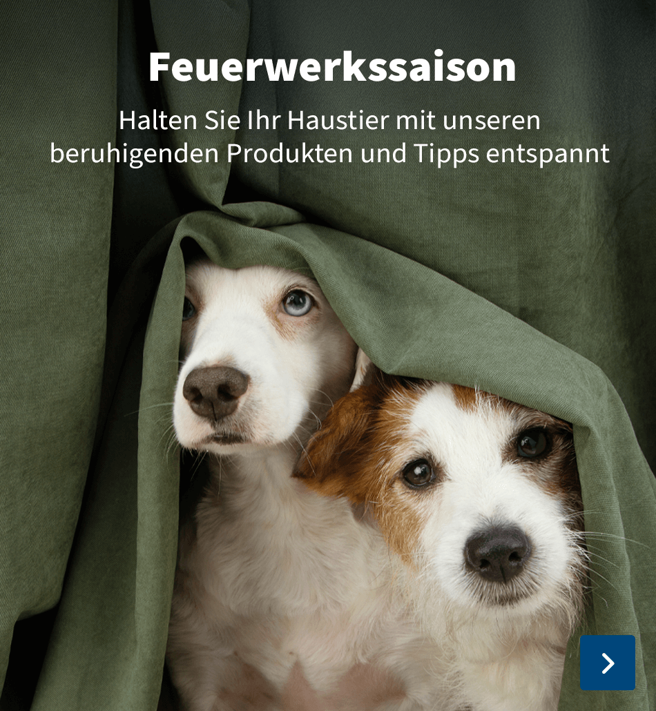 https://www.medpets.de/apotheke/silvesterangst-beruhigungsmittel-desensibilisierung