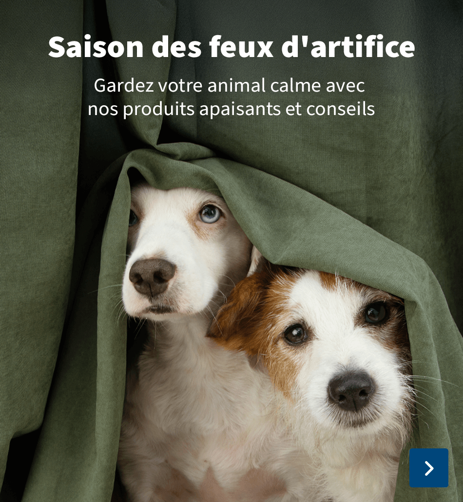 https://www.medpets.fr/pharmacie/peur-feux-dartifice