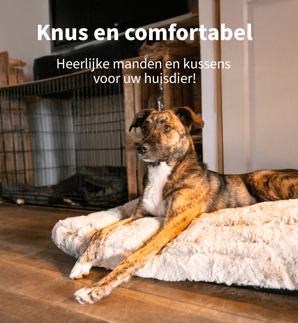 https://www.medpets.be/honden/benodigdheden/manden-kussens