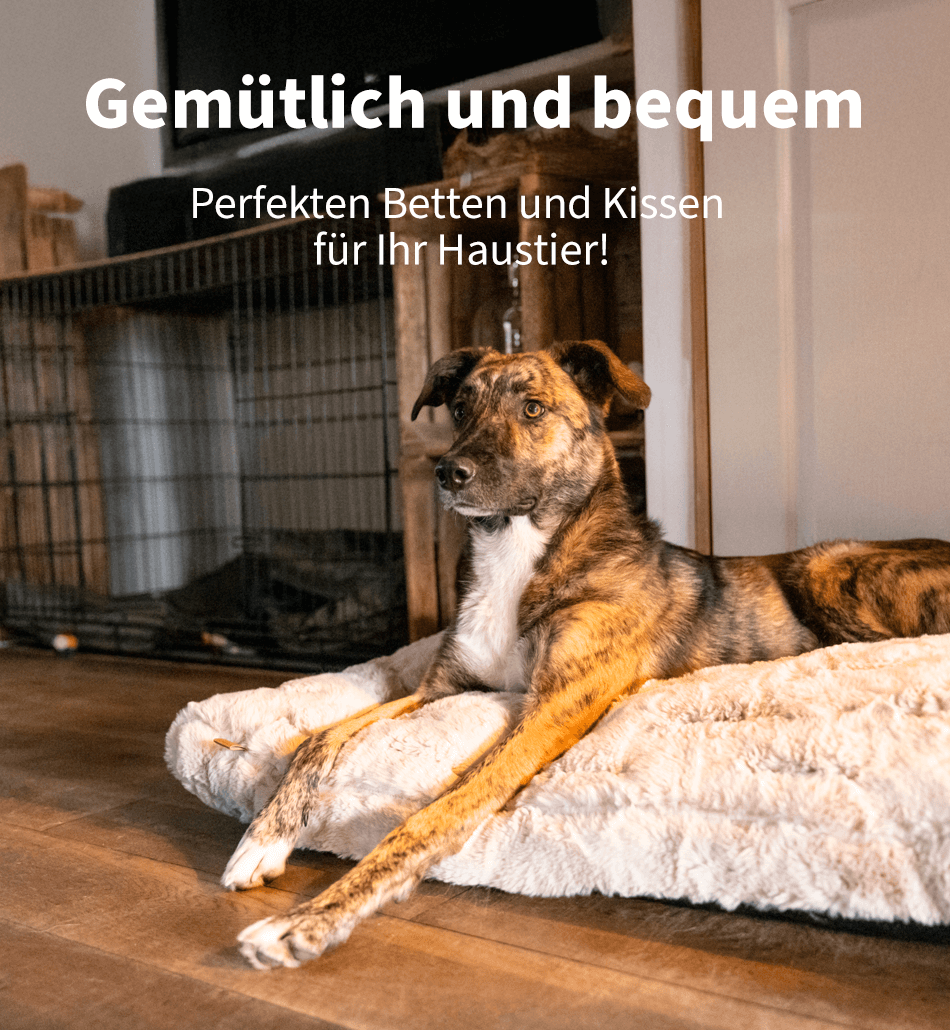 https://www.medpets.de/hunde/zubehoer/koerbe-kissen