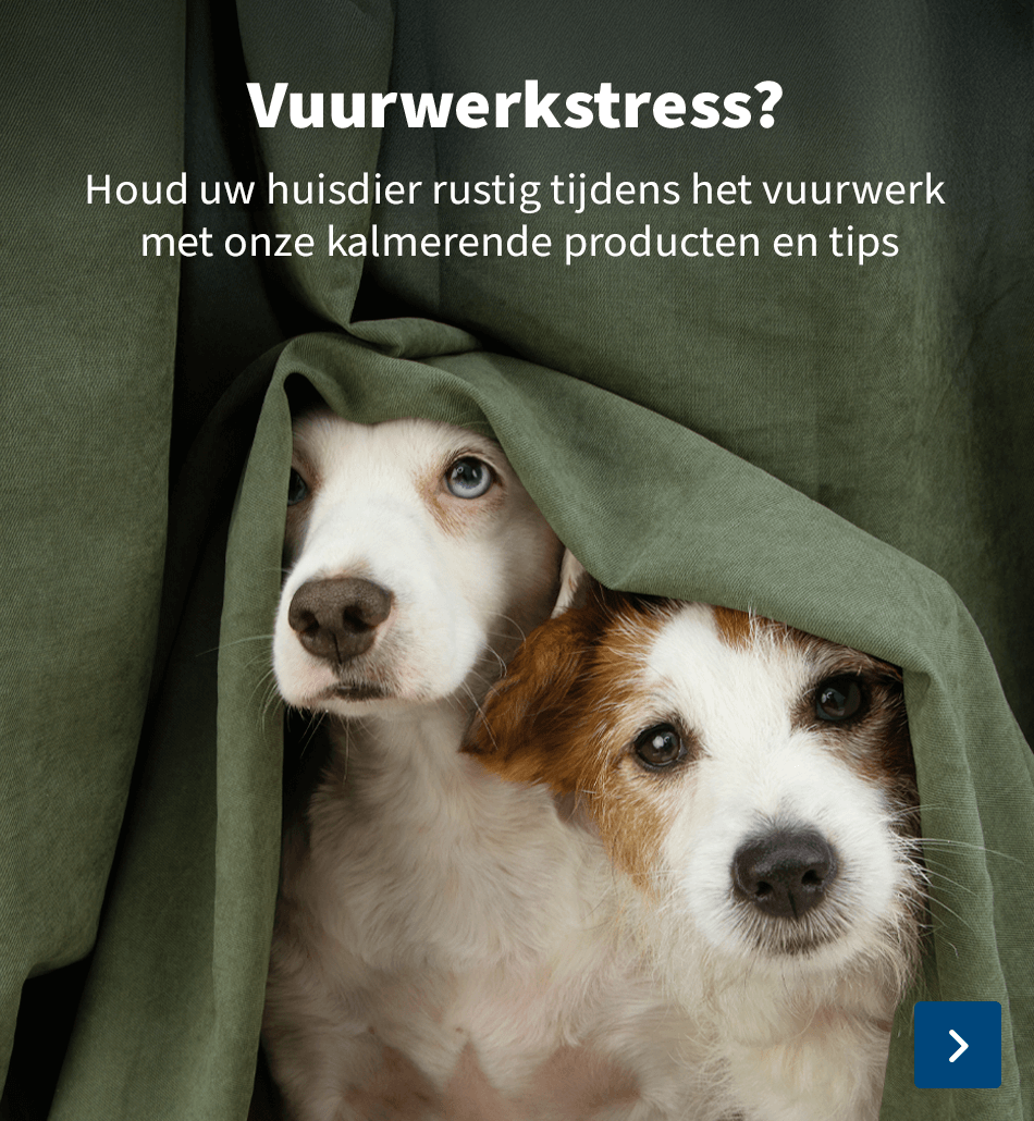 https://www.medpets.be/apotheek/vuurwerkangst