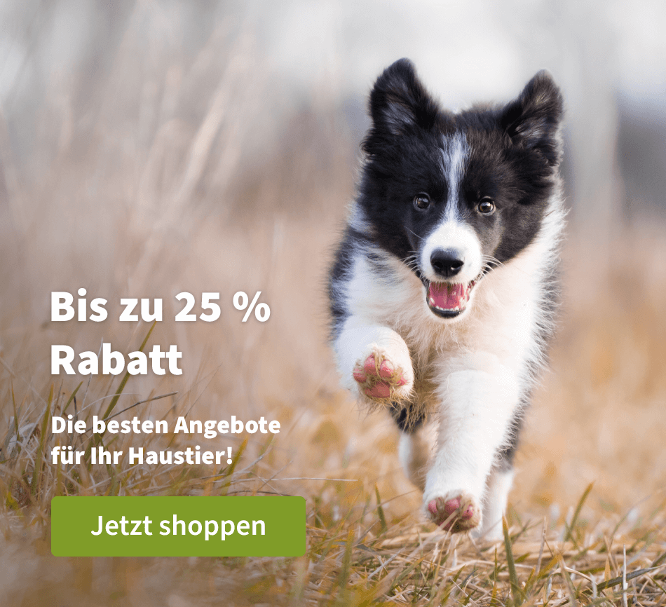 Bis zu 25 % Rabatt - Die besten Angebote für Ihr Haustier!