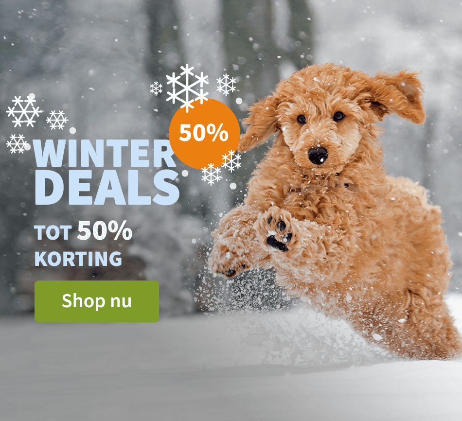 Winter Deals - Tot 50% korting!