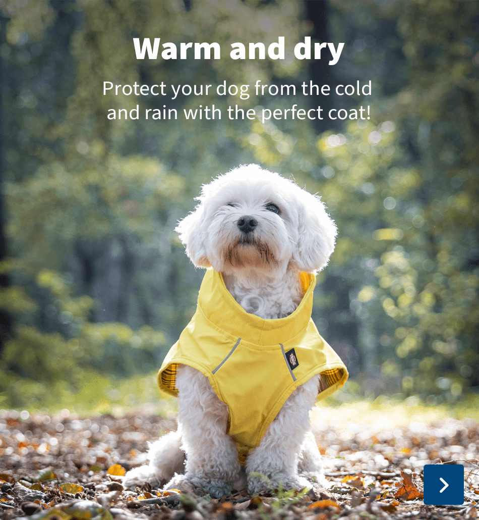 dog-coats