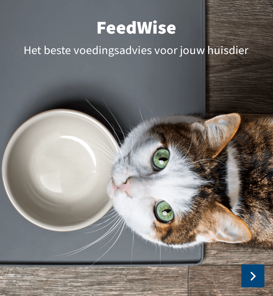 feedwise