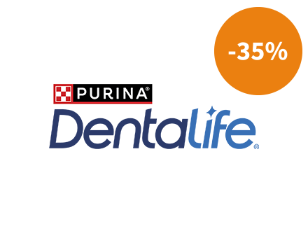 dentalife-35