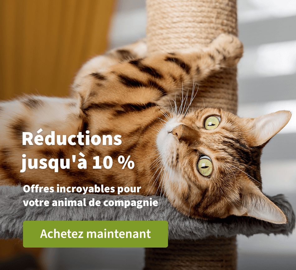 Rédictions jusqu'à 10 % - Offres incoryables pour votre animal de compagnie