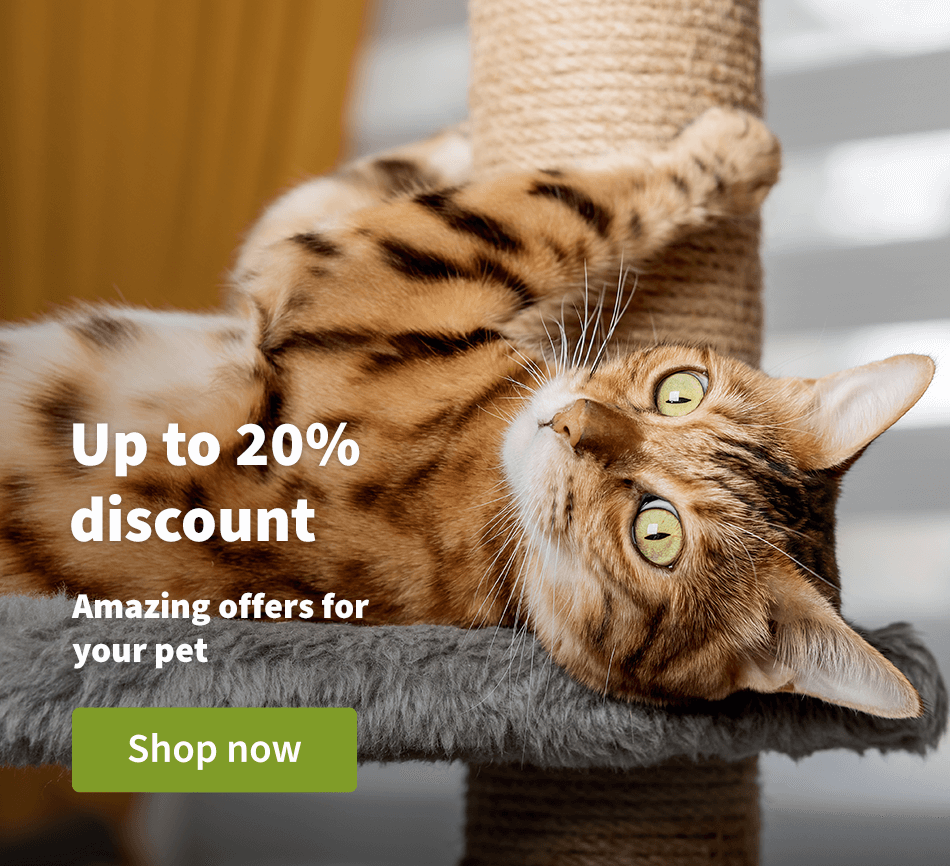 Up to 20% discount - Amazing offers for your pet