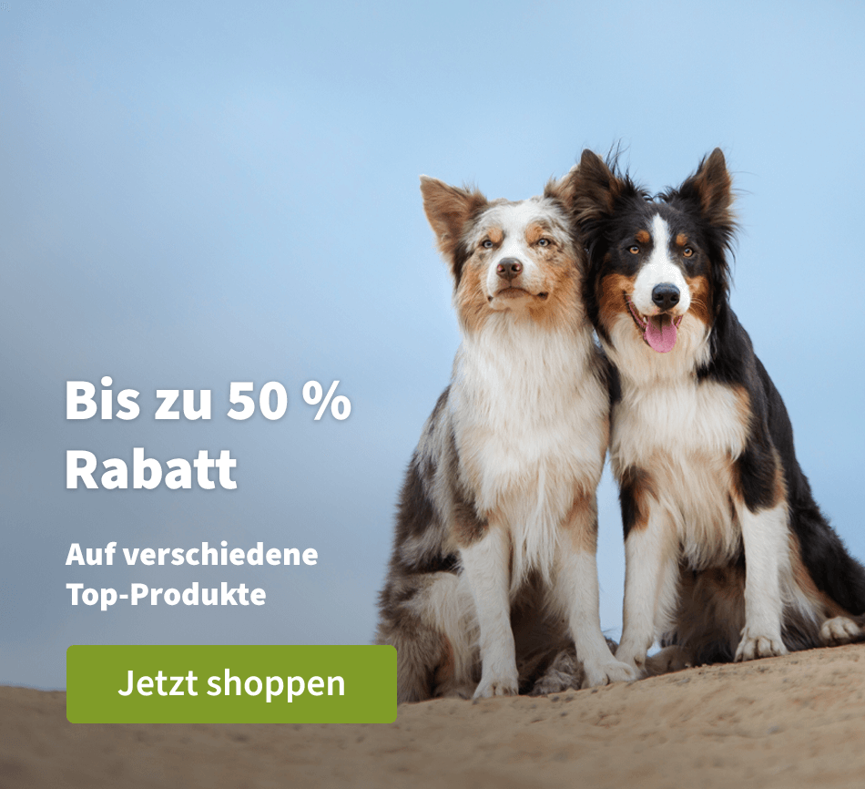 Bis zu 50 % Rabatt - Auf verschiedene Top-Produkte 