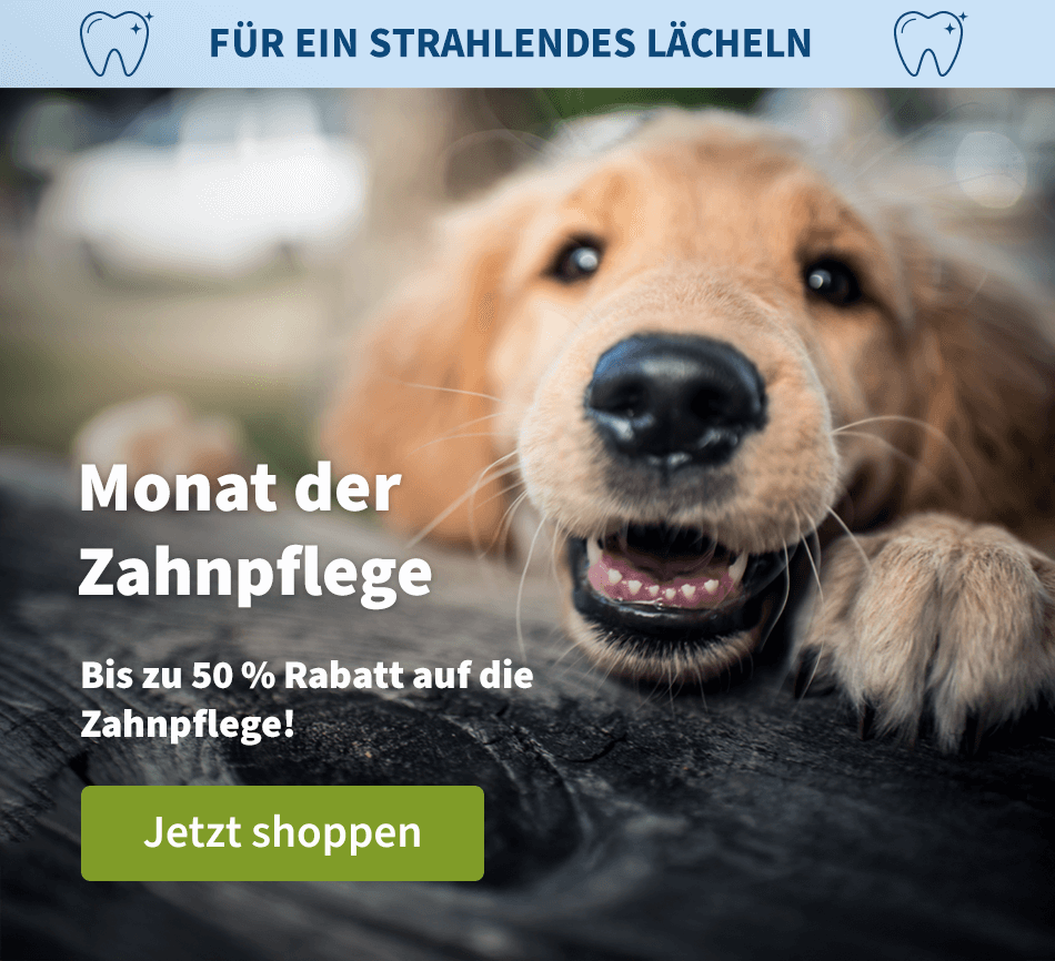 Monat der Zahnpflege - Bis zu 50 % Rabatt auf die Zahnpflege!