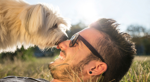 Un chien lèche le visage de son maître