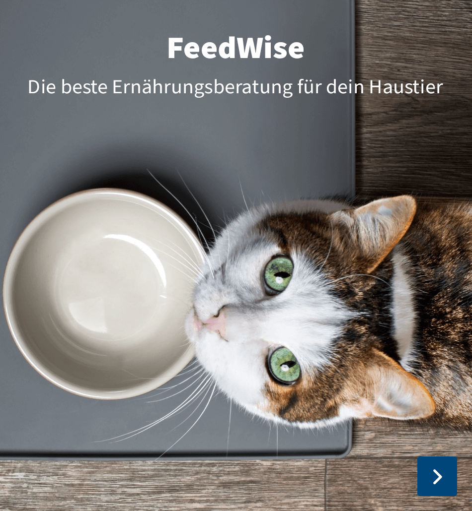 FeedWise