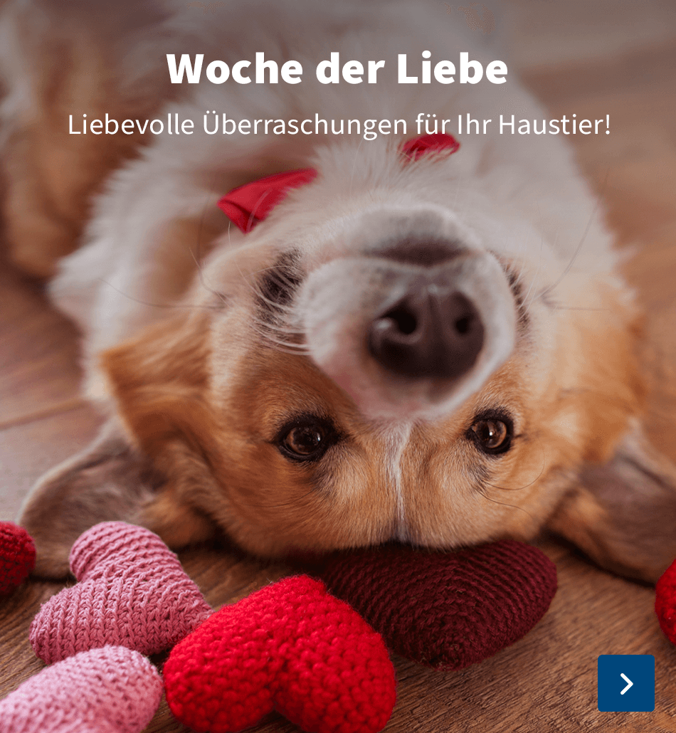 Woche der Liebe