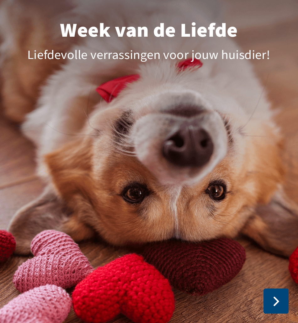 Week van de Liefde