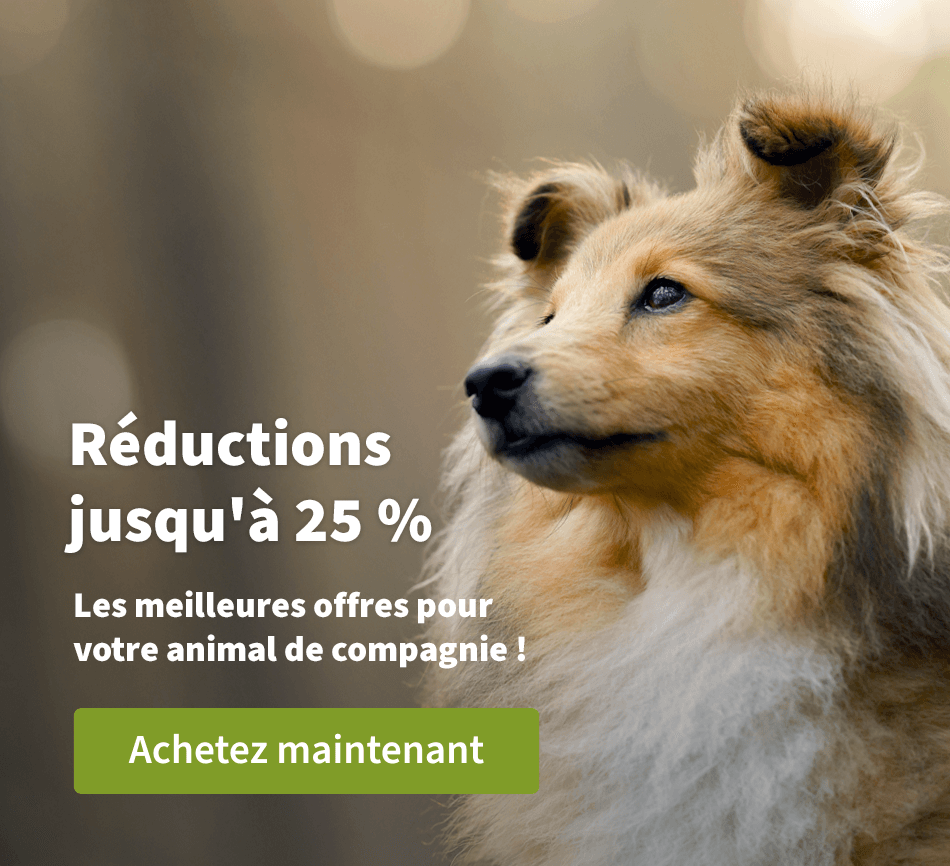 Réductions jusqu'à 25 % - Les meilleures offres pour votre animal de compagnie !