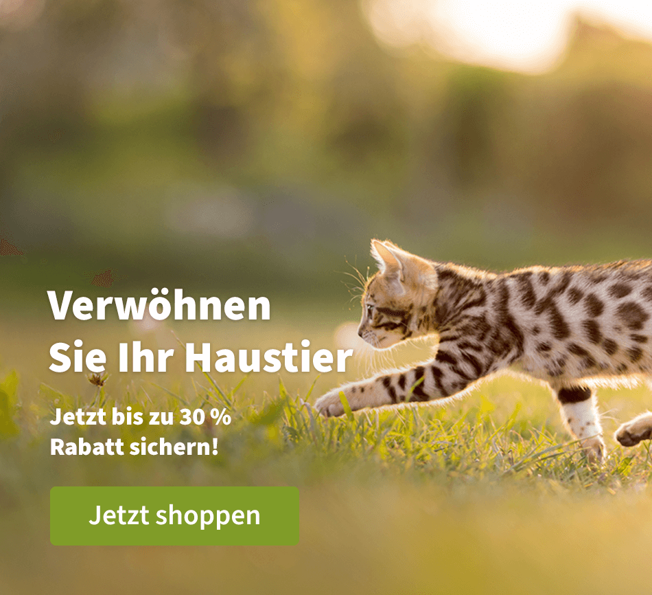 Verwöhnen Sie Ihr Haustier - Jetz bis zu 30 % Rabatt sichern!
