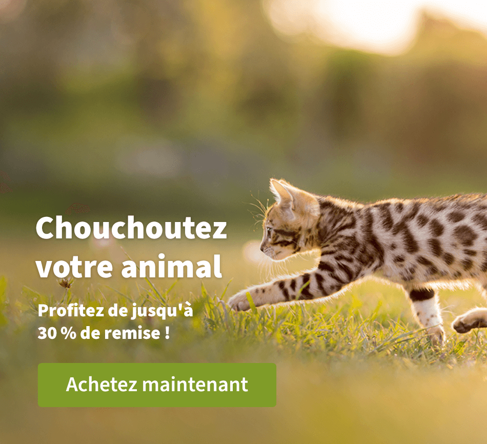 Chouchoutez votre animal - Profitez de jusqu'à 30 % de remise ! 