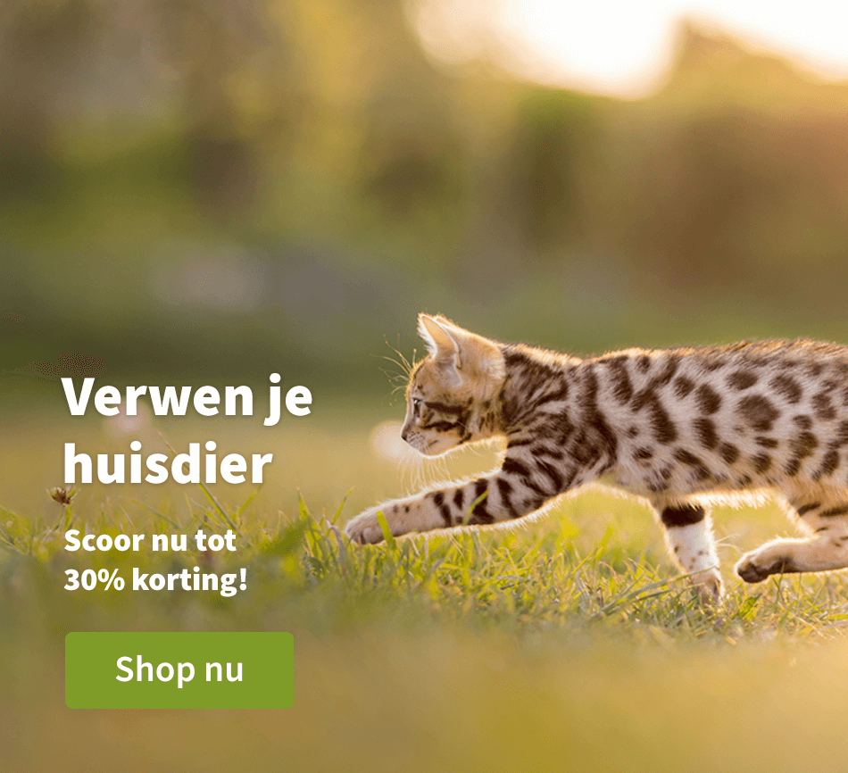 Verwen je huisdier - Scoor nu tot 30% korting! 