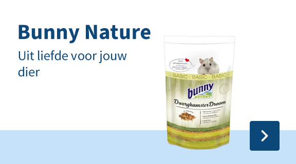 Bunny Nature
