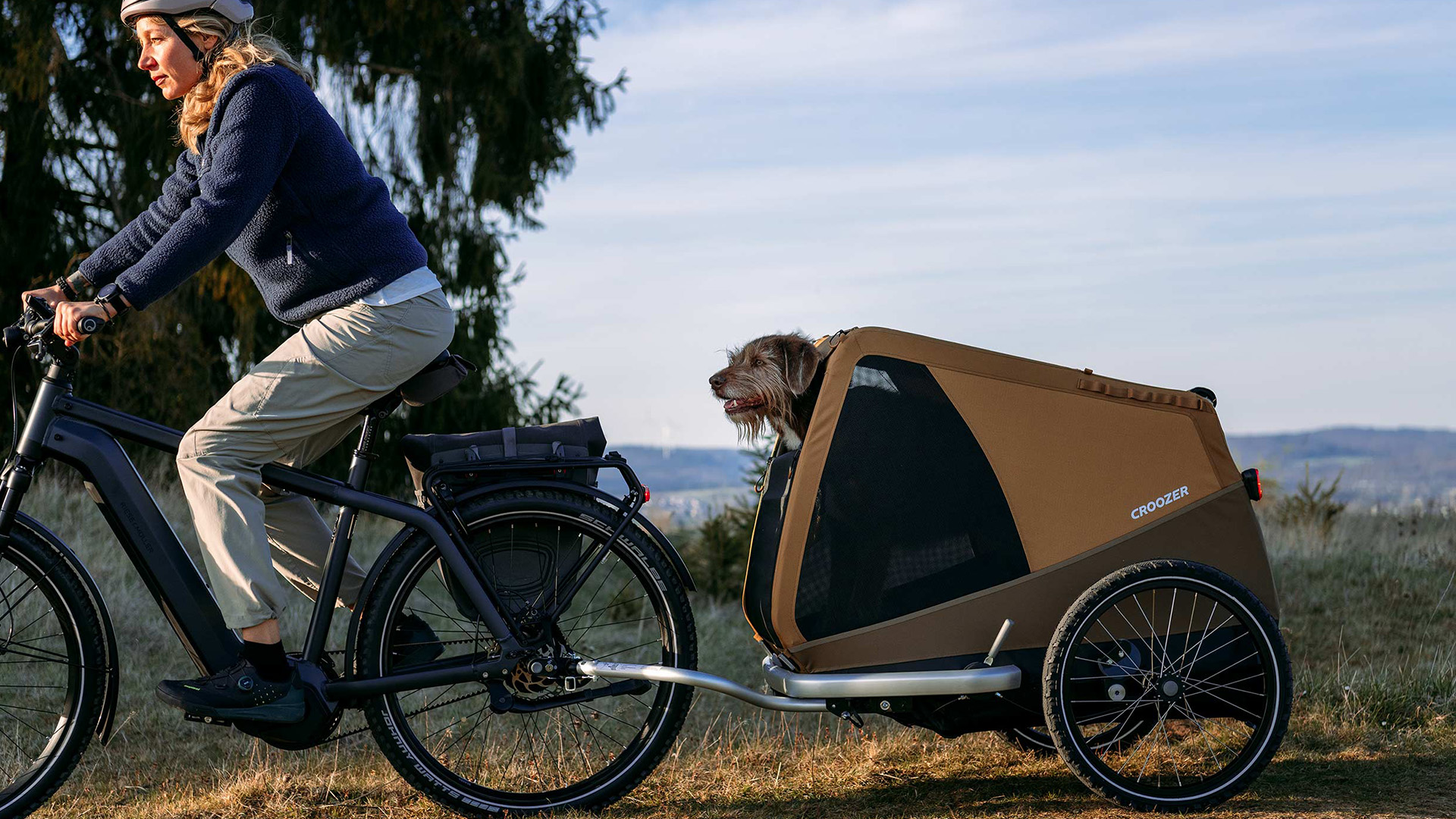 Die 5 besten Hunde-Fahrradanhnger | Tipps & Sicherheit | Medpets.de