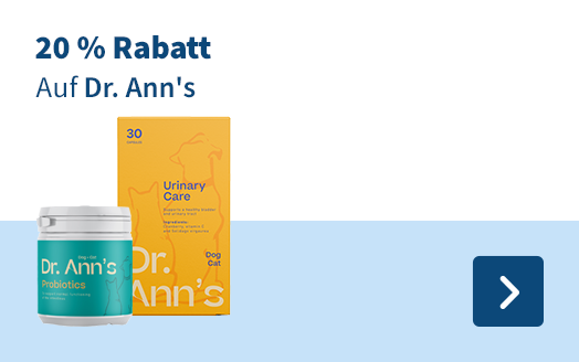Dr. Ann's