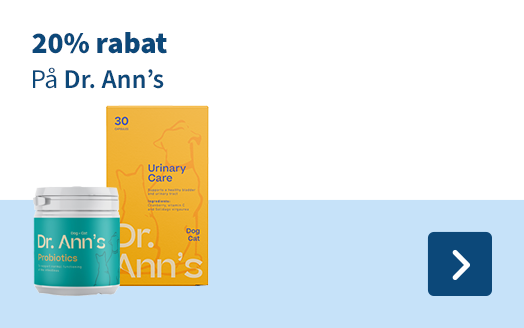 Dr. Ann's