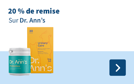Dr. Ann's