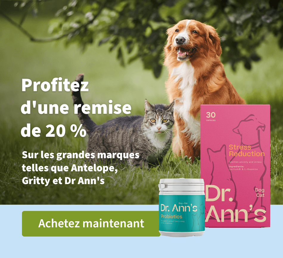 Profitez d'une remise de 20 % - Sur les grandes marques telles que Antelope, Gritty et Dr. Ann's