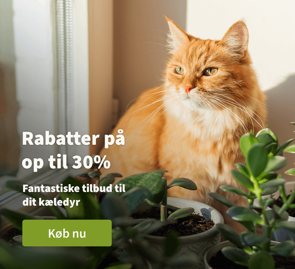 Rabatter pa op til 30% - Fantastike tilbud til dit kaeledyr