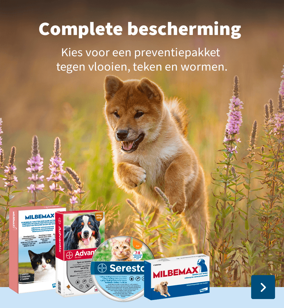 Vlooien & teken