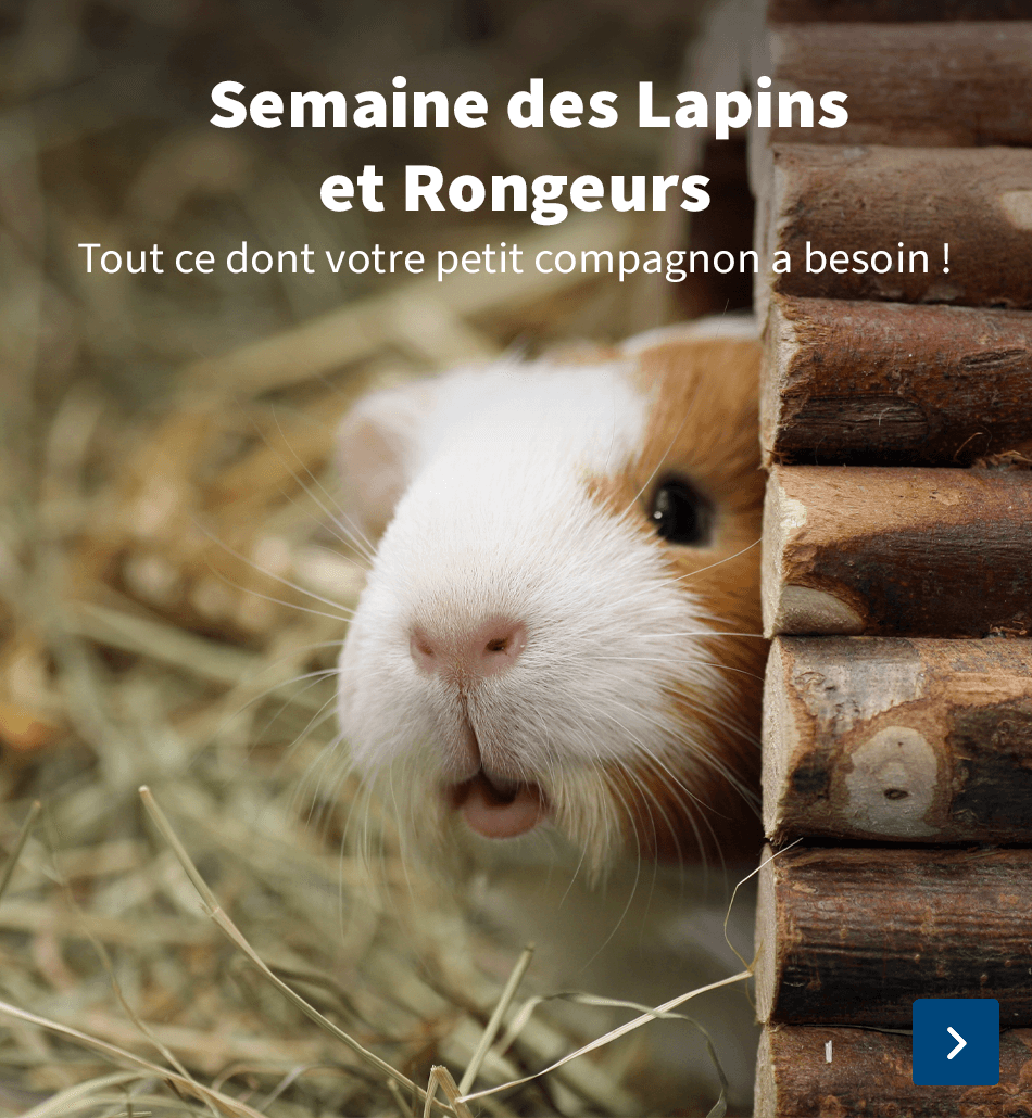Semaine des Rongeurs