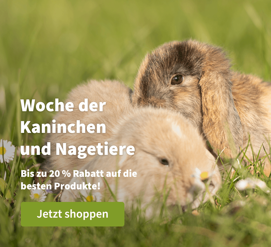 Woche der Kaninchen und Nagetiere - Bis zu 20 % Rabatt auf die besten Produkte! 