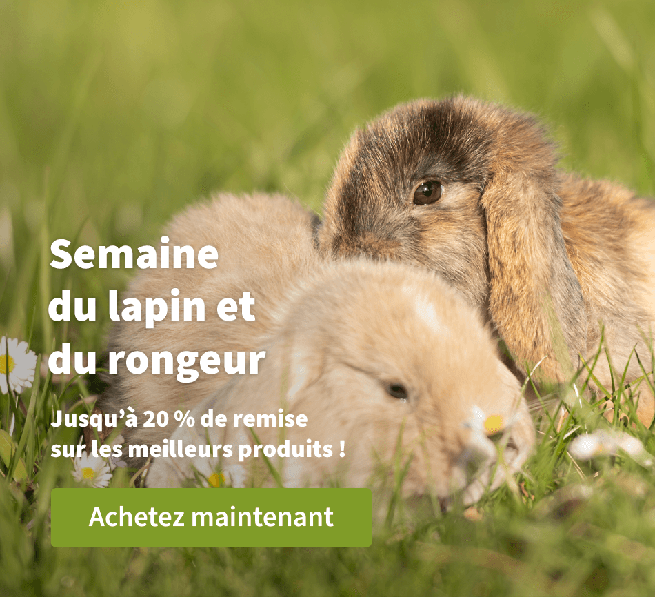 Semaine du lapin et de rongeur - Jusqu'à 20 % de remise sur les meilleurs produits ! 