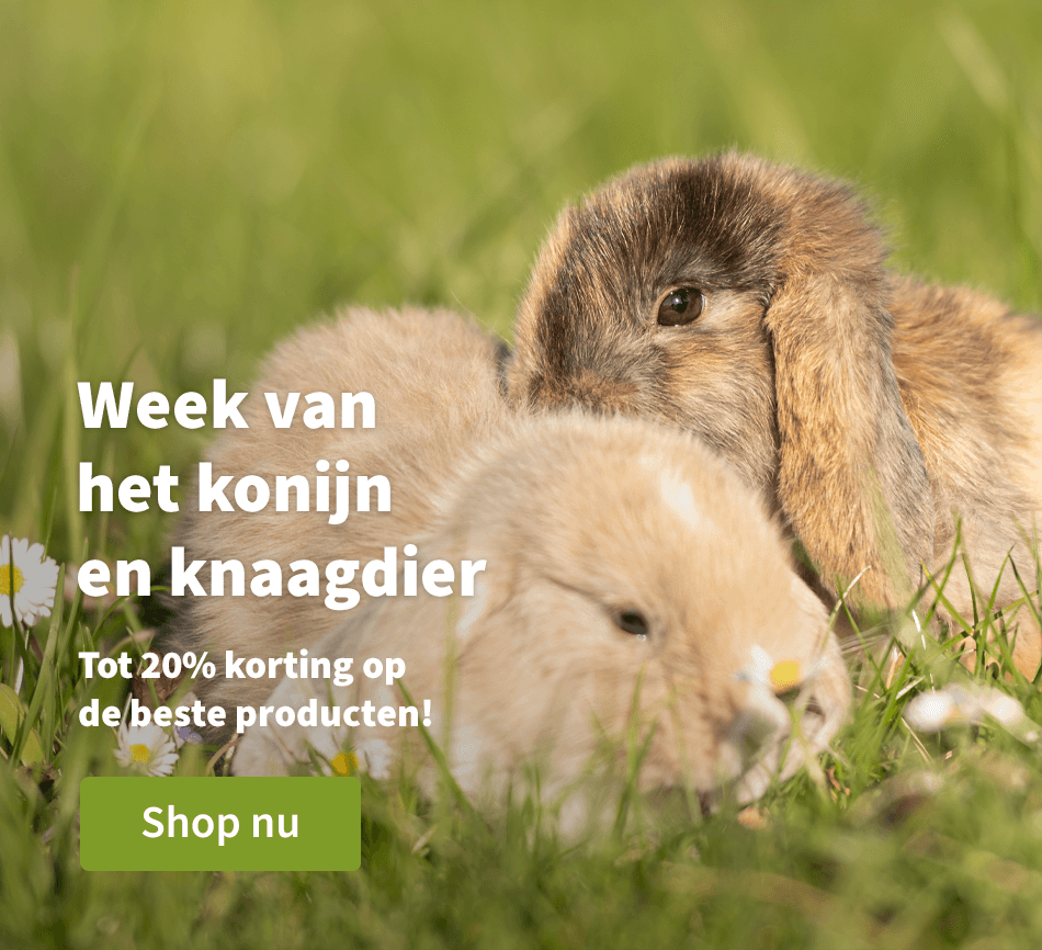 Week van het konijn en knaagdier - Tot 20% korting op de beste producten! 