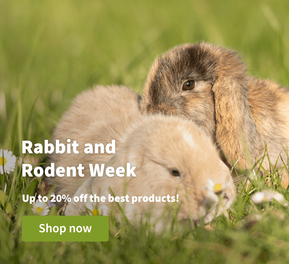 Rabbit and Rodent Week - Up to 20% off the best products! 